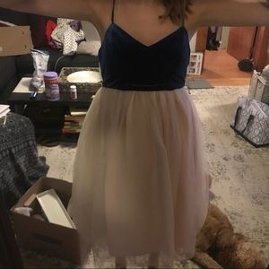 LC Runway Tulle and velvet dress